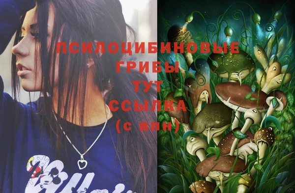 ALPHA PVP Осинники